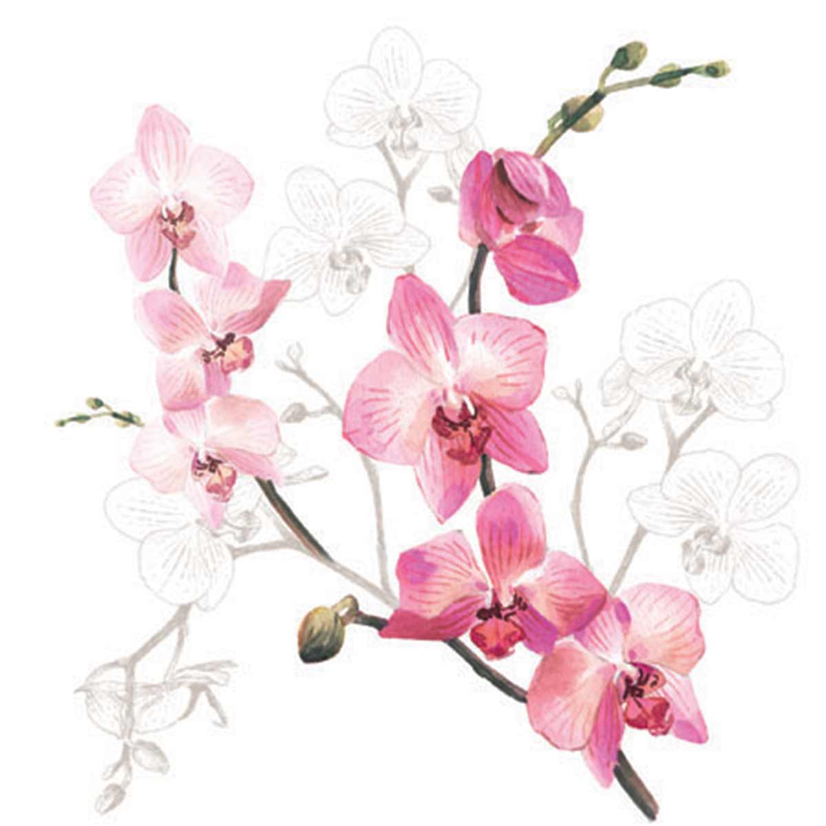 Mini plateau vide poche rectangulaire orchide