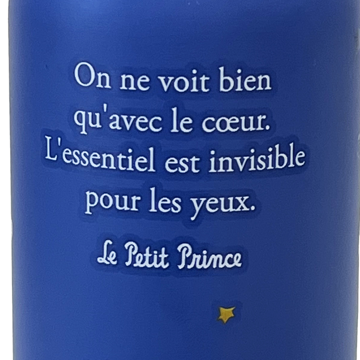 Bouteille isotherme bleue en inox Le Petit Prince