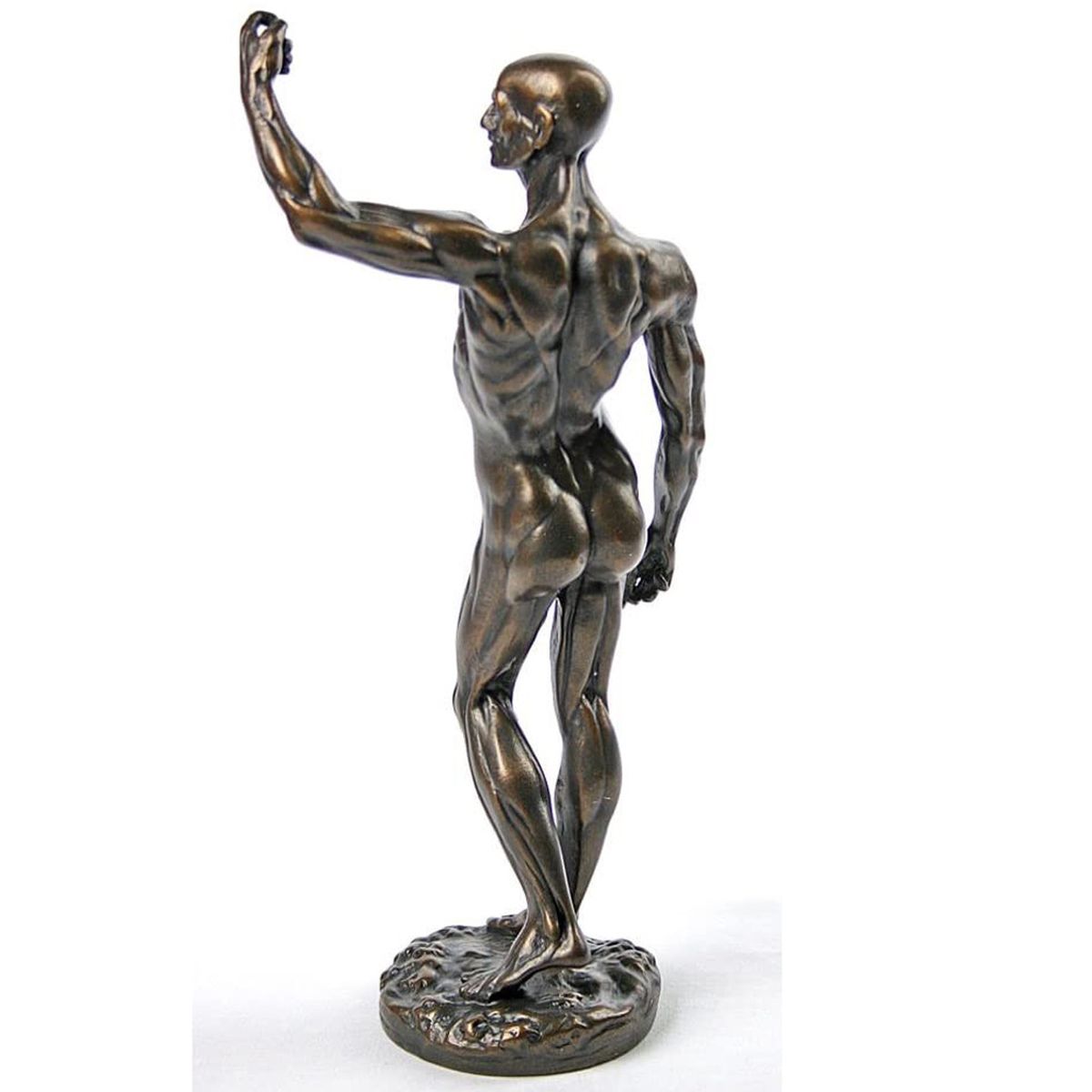 Figurine Etude Anatomique par Jean-Antoine Houdon