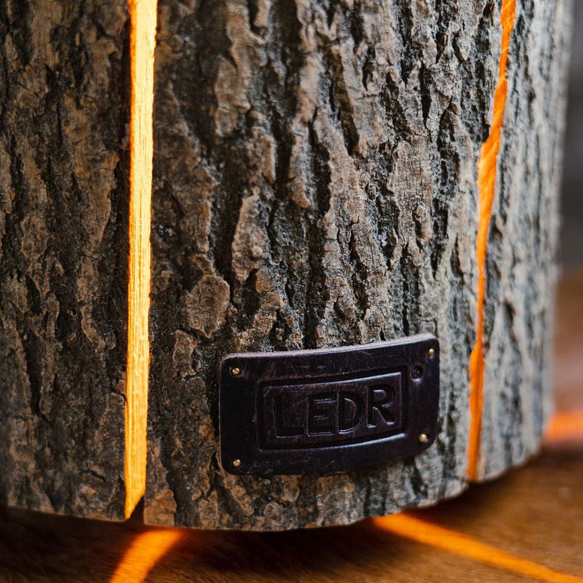 Wood Light - Bois de frne Taille M - Eco-Friendly