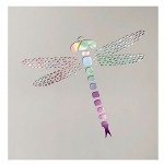 Cadre en bois lumineux Dragonfly avec variations de couleurs