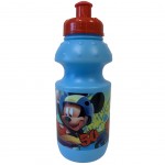 Gourde Mickey