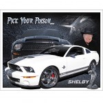 Dcoration mtallique Rectangulaire Ford Shelby