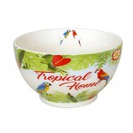 Bol en Porcelaine Tropical 480 ml Bol en Porcelaine Tropical 480 ml