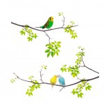 Stickers Muraux perruches sur branches