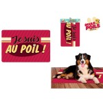 Tapis pour Animaux 60 x 80 cm - Au Poil