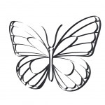 Papillon dcoratif  fixer au mur - 80 x 60 cm