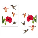 Adhsifs de vitres Hibiscus et colibris