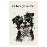 Plaque M�tal Chien Surtout Pas S�rieux D�co Humour 30 x 20 cm