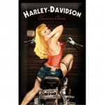 Plaque mtal Harley Davidson