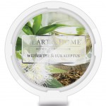 Galet pour brûle parfum cire de soja Thé Blanc et Eucalyptus Galet pour brûle parfum cire de soja Thé Blanc et Eucalyptus