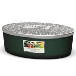 Bougie ellipse 4 mèches Heart and Home Sapin de Noël Bougie ellipse 4 mèches Heart and Home Sapin de Noël