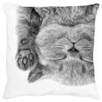 Housse de Coussin carré - Chaton Housse de Coussin carré - Chaton