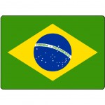 Surface de dcoupe Brazil en verre 28.5 x 20 cm