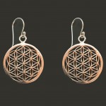Boucles d'oreilles Argent 925 Boucles d'oreilles Argent 925