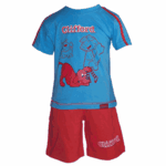 Ensemble Clifford bleu