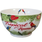 Bol en Porcelaine Tropical 480 ml