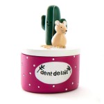 Boite  dents de lait rose cactus