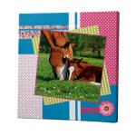 Cadre en toile cheval