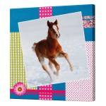Cadre en toile cheval
