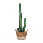 Décoration murale adhésive Cactus
