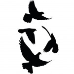 Adhsifs de vitres Oiseaux