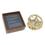 Cadran solaire à boussole en laiton avec coffret Cadran solaire à boussole en laiton avec coffret