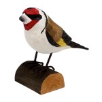 Chardonneret lgant sur bchette de bois