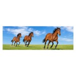 Marque-page Lenticulaire Chevaux