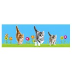 Marque-page Lenticulaire Chat