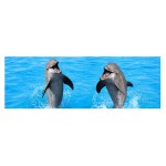 Marque-page Lenticulaire Dauphins