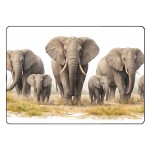Planche � d�couper verre �l�phants 28,5 x 20 cm