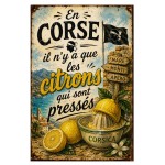 Plaque M�tal Vintage Corse Citrons D�coration Murale 30 x 20 cm