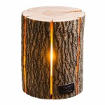 Wood Light - Bois de frêne Taille M - Eco-Friendly
