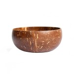Bol nature en noix de coco